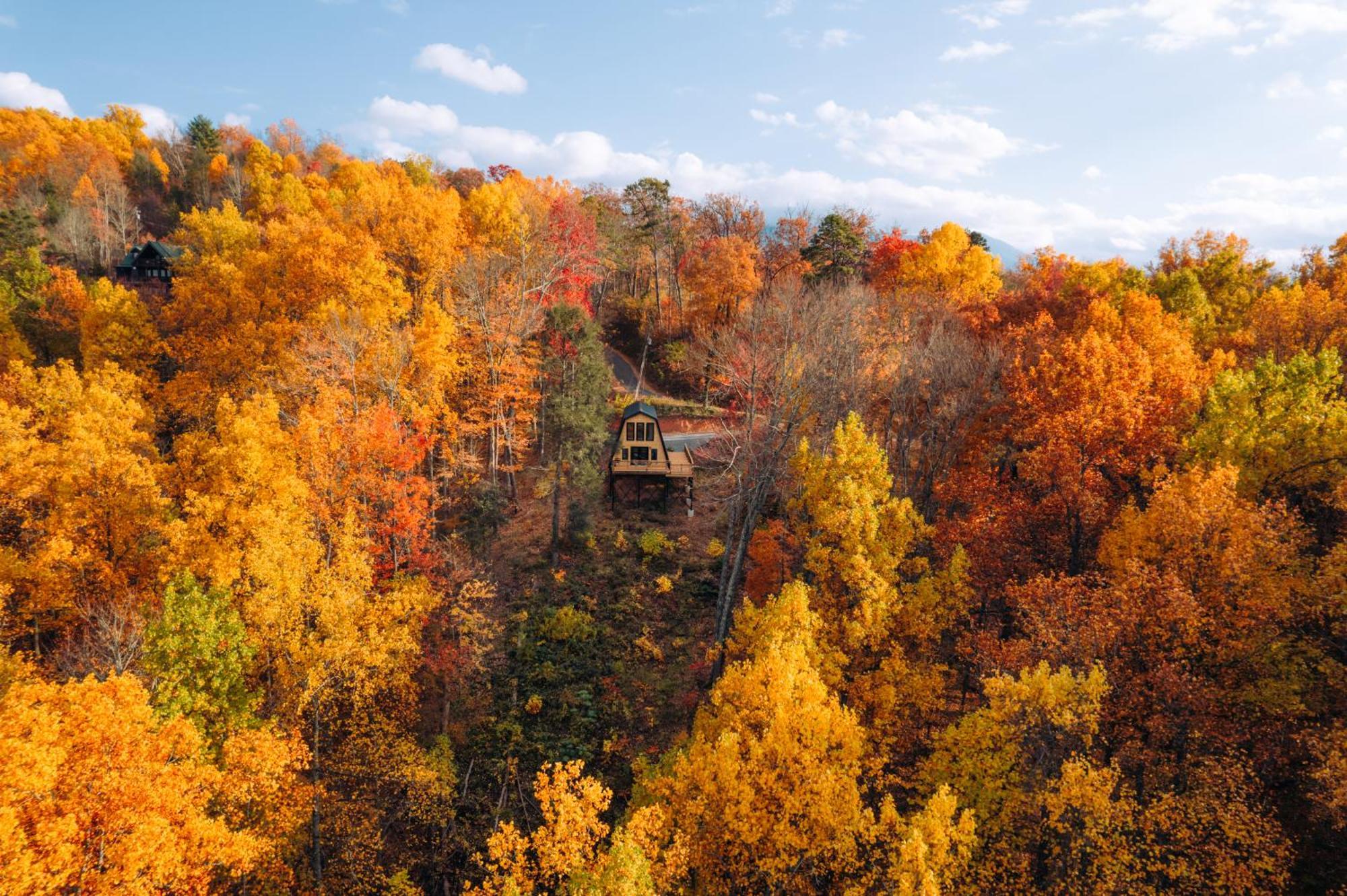 Secluded Mtn View New! 10 Mins To Or Park *